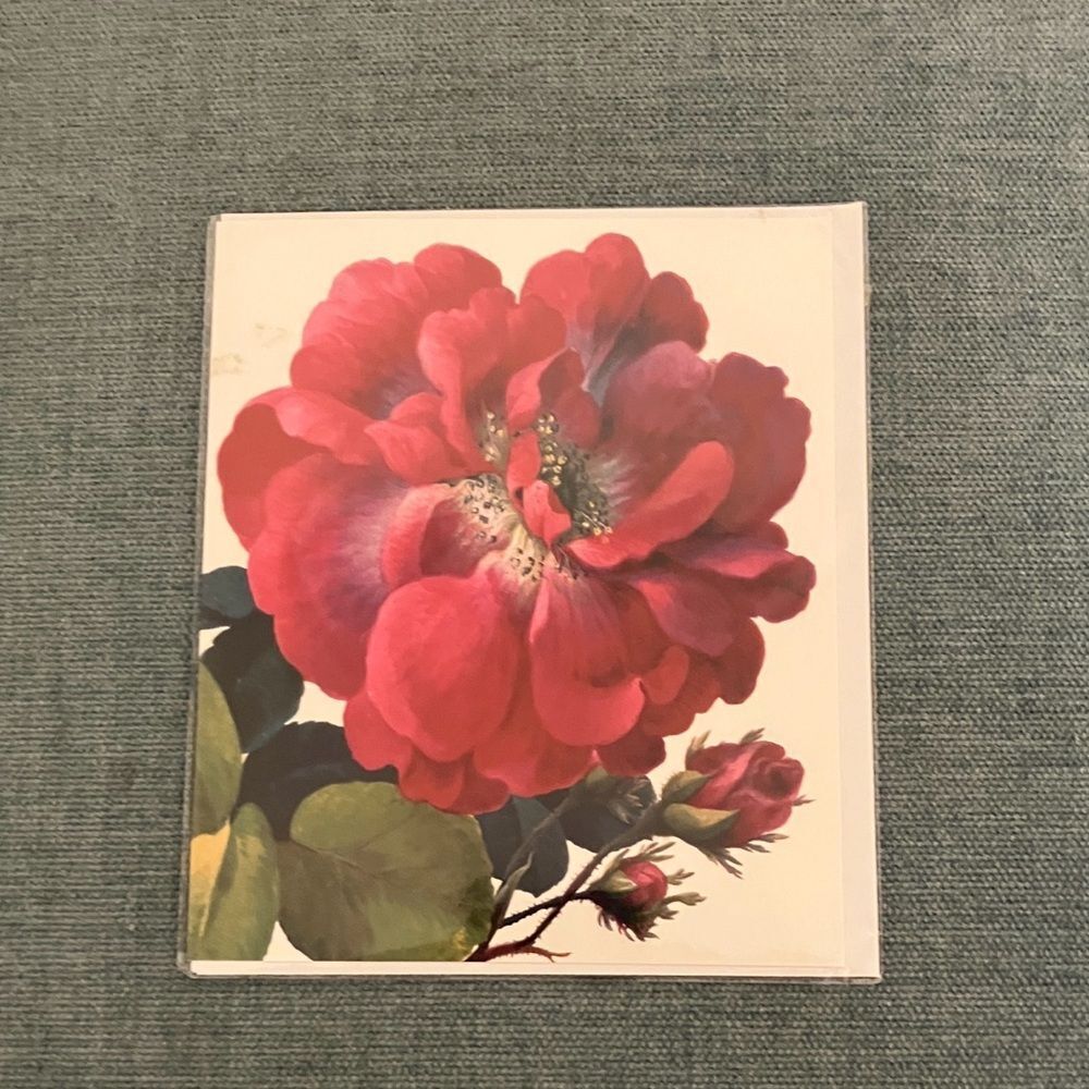 Moss Rose Natural History Museum Card